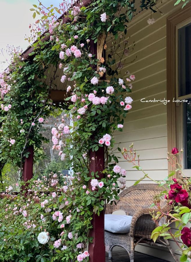 Cambridge House Breakfast & Bed Bed & Breakfast Geeveston Eksteriør bilde