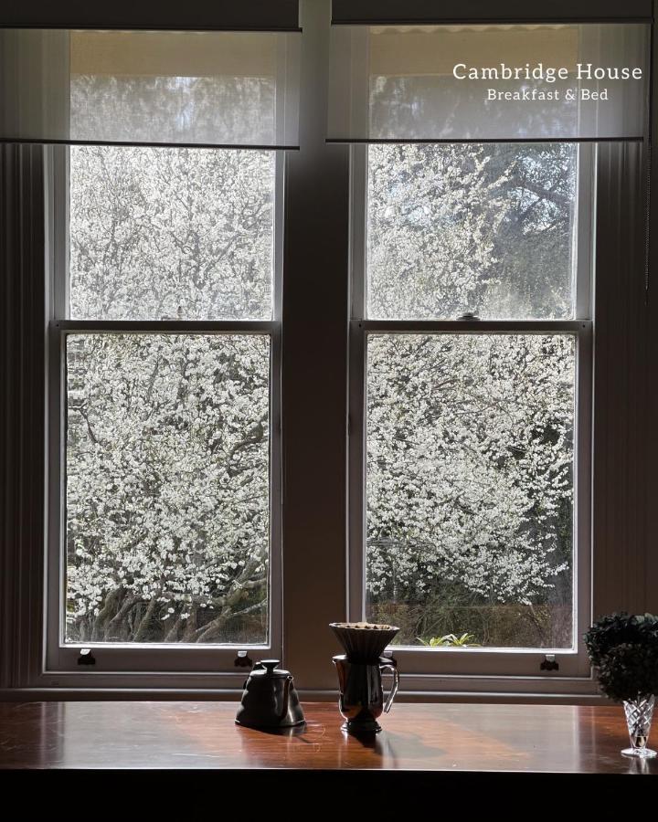 Cambridge House Breakfast & Bed Bed & Breakfast Geeveston Eksteriør bilde