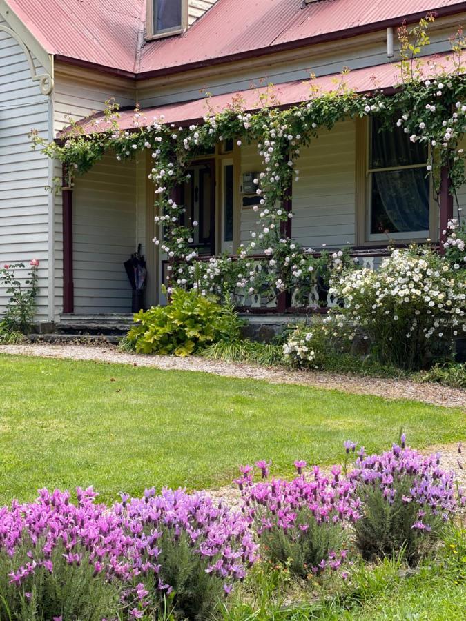 Cambridge House Breakfast & Bed Bed & Breakfast Geeveston Eksteriør bilde