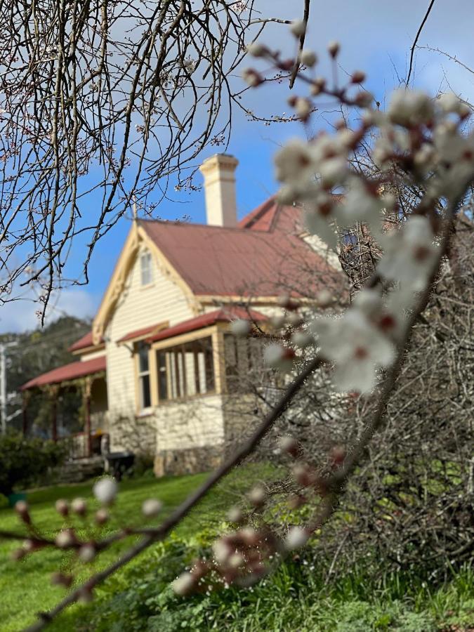 Cambridge House Breakfast & Bed Bed & Breakfast Geeveston Eksteriør bilde