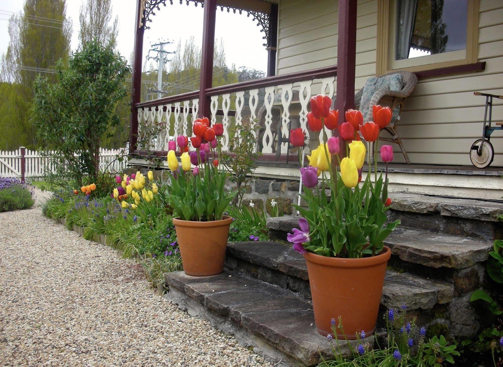 Cambridge House Breakfast & Bed Bed & Breakfast Geeveston Eksteriør bilde